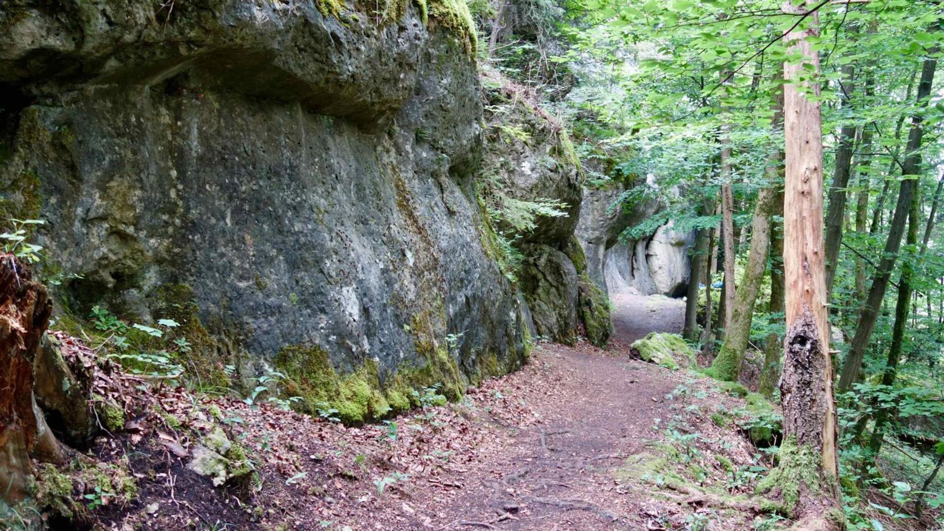 Ferienwohnung Am Walberla / Fraenkische Schweiz Kirchehrenbach Zewnętrze zdjęcie